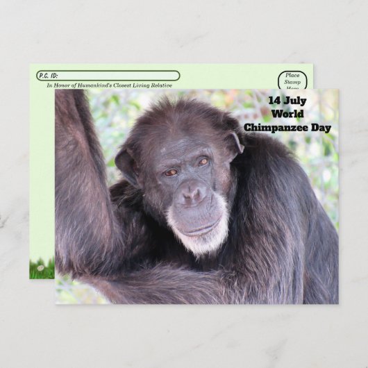 Werelddag van de chimpansee - 14 juli briefkaart (Voorkant / Achterkant)