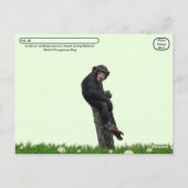 Werelddag van de chimpansee - 14 juli briefkaart (Achterkant)