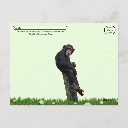 Werelddag van de chimpansee - 14 juli briefkaart (Achterkant)