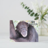 Werelddag van de chimpansee - 14 juli briefkaart (Staand voorkant)