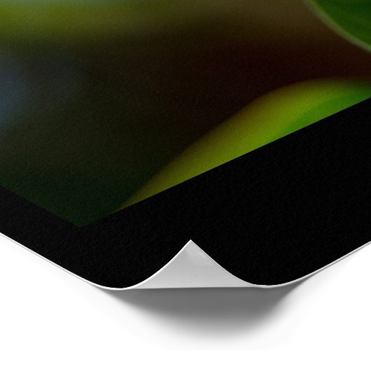 Werelddag van de hagedis, iguana poster (Hoek)