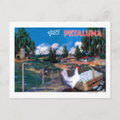 Wereldeimandje Poster Briefkaart (Voorkant)