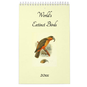 Werelden Uitgestorven Vogels  Art Birders 2024 Wal Kalender