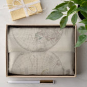 wereldkaart 8 tissuepapier (Geschenk)