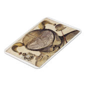 Wereldkaart Pet van de spoel Magneet (Linkerzijde)