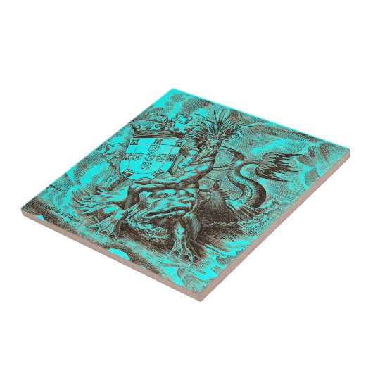 wereldkaart Poseidon Riding Dolphin Tegeltje (Zijkant)