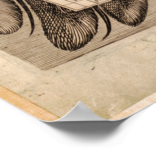 Wereldkaart Poster (Hoek)