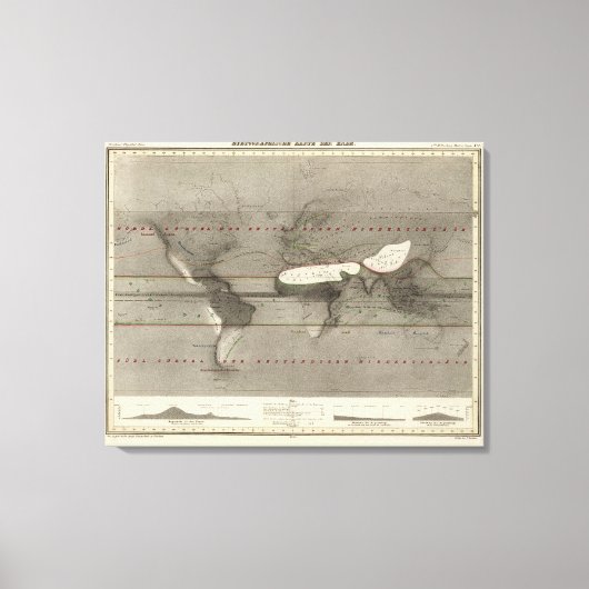 Wereldkaart precipitatie canvas afdruk (Voorkant)