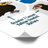 Wereldkaart van Gieren Poster (Hoek)
