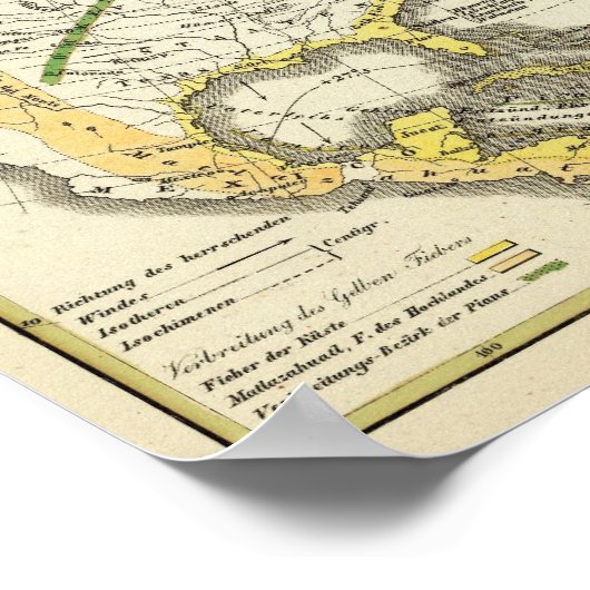 Wereldkaart van ziekten poster (Hoek)