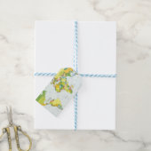 Wereldkaart Wereldbol Landatlas Cadeaulabel (Met Touw)