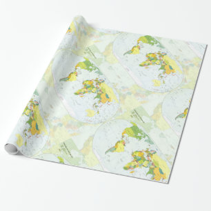 Wereldkaart Wereldbol Landatlas Cadeaupapier