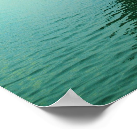 Wereldkat 270/EG Poster (Hoek)