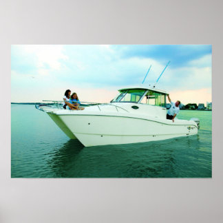 Wereldkat 270/EG Poster