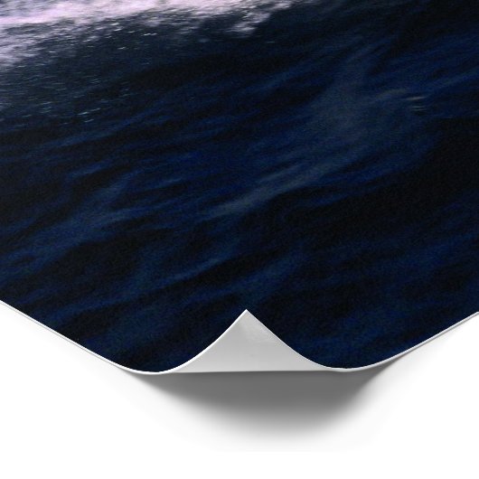 Wereldkat 270SD Poster (Hoek)