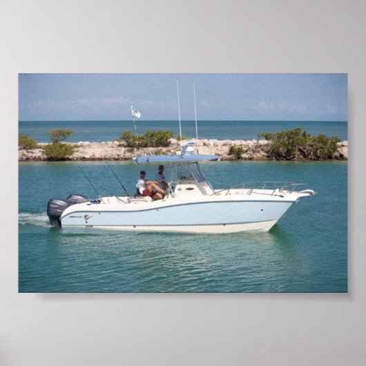 Wereldkat 270SF Poster (Voorkant)