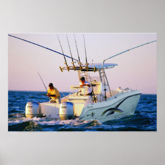 Wereldkat 270TE Poster