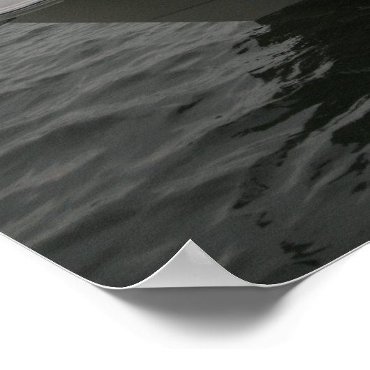 Wereldkat 320EC Poster (Hoek)