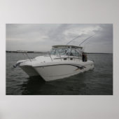 Wereldkat 320EC Poster (Voorkant)