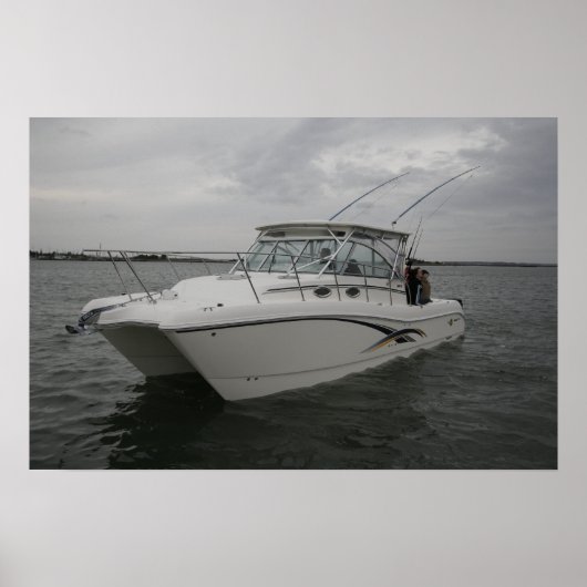 Wereldkat 320EC Poster (Voorkant)