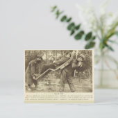 Wereldoorlog I, Frankrijk, vervoer van gewonden Briefkaart (Staand voorkant)