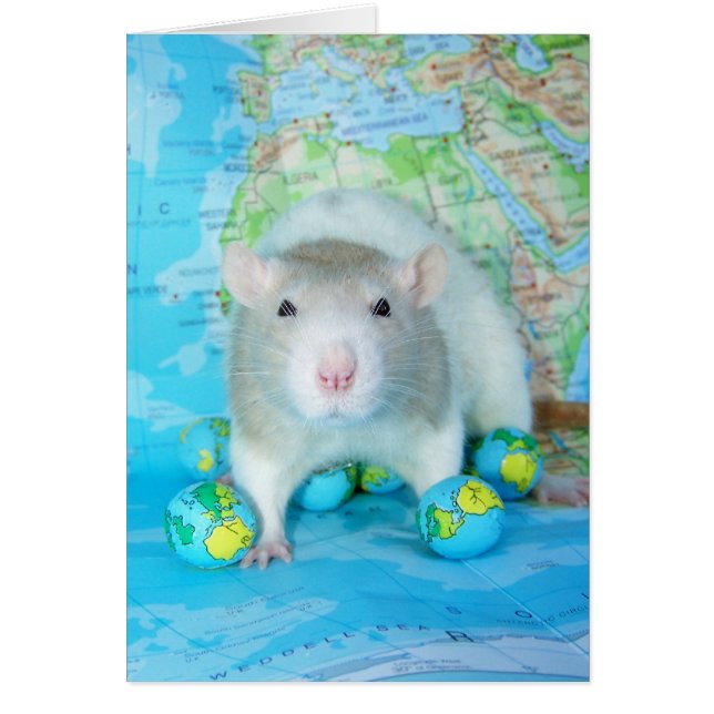 Wereldrijddagkaart (Voorkant)