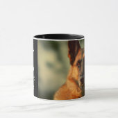 Wereld's beste Duitse herder papa Mok (Midden)