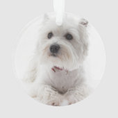 WERELDS BESTE HOND Zwart Witte Buffelruitnaam Ornament (achterkant)