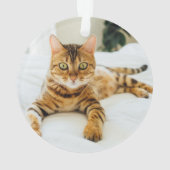 WERELDS BESTE KAT Gestreept Naam Jaar Ornament (achterkant)