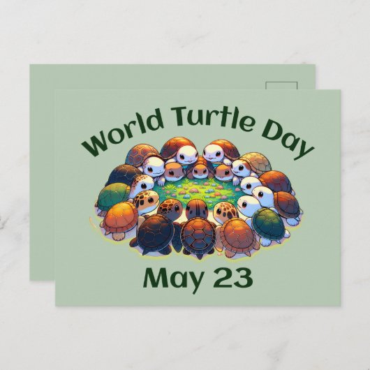 Wereldschildpad Briefkaart (Voorkant / Achterkant)