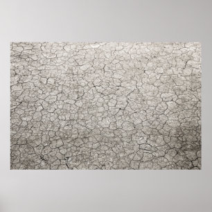 Wereldwijd wormconcept - gekraakte verschroeide aa poster