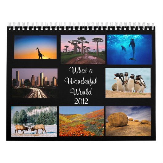 Wereldwijde agenda 2012 kalender (Hoes)