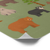 Wereldwijde Beren Poster (Hoek)