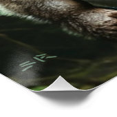 Werewolf die het hele poster van het dorp glanst (Hoek)