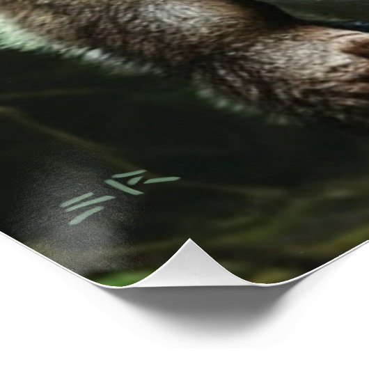 Werewolf die het hele poster van het dorp glanst (Hoek)