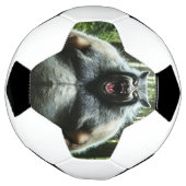 Werewolf die het hele voetbal van het dorp is (Gedraaid)