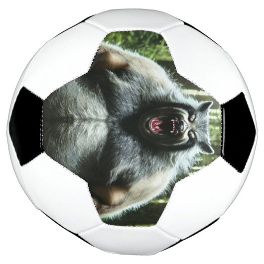 Werewolf die het hele voetbal van het dorp is (Gedraaid)