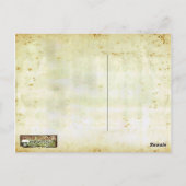 Werewolf Fur Briefkaart (Achterkant)