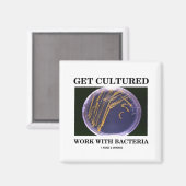 Werk kweken met bacteriën (agar-Bord) Magneet (Voorkant / Achterkant)