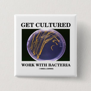 Werk kweken met bacteriën (agar-Bord) Vierkante Button 5,1 Cm