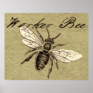 Werkbij Insect Illustratie Poster