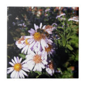 Werkbijenheden Tegeltje (Voorkant)