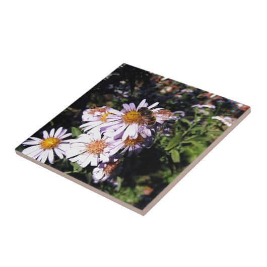 Werkbijenheden Tegeltje (Zijkant)