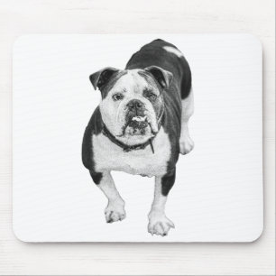 Werkdag Warmte, Bulldog Bureaumat Muismat