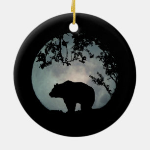 Werkelijk Mooie draag en het Ornament van Kerstmis