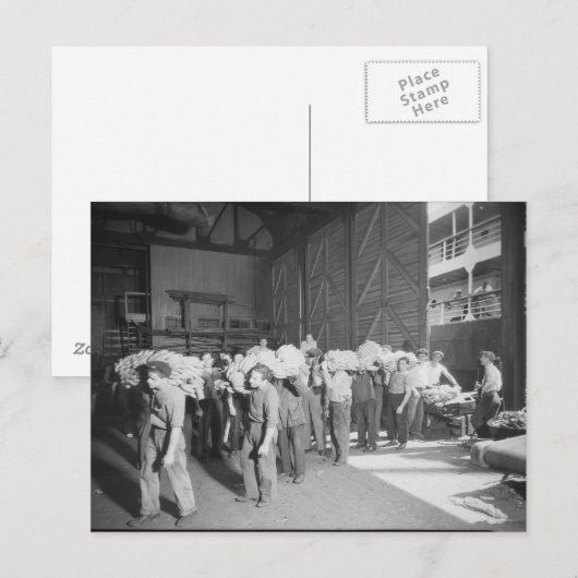 Werken aan de bananenboot - Vintage Briefkaart (Voorkant / Achterkant)