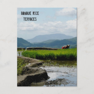 Werken aan de Terraces Briefkaart