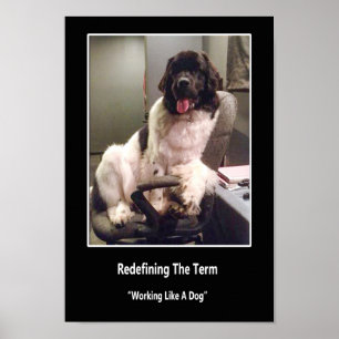 Werken als een Poster van een hond
