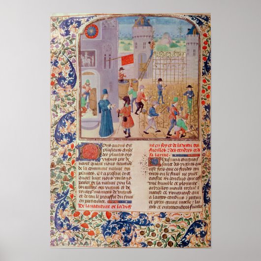 Werken in de wijnbouw poster (Voorkant)