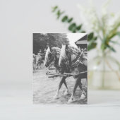 Werken met conceptpaarden in zwart-wit briefkaart (Staand voorkant)